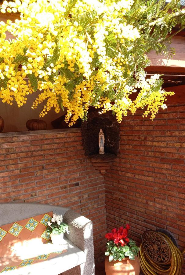 Casa Dell'Ulivo Villa Aci Bonaccorsi ภายนอก รูปภาพ